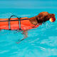 CHALECO SALVAVIDAS PARA PERRO 35cm