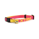 COLLAR GATO X-TRM NEON FLASH FUCSIA 10mm x 22-33cm