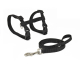 ARNES Y CORREA GATO BASIC NEGRO 10x 27-45cm - 10 x 120cm