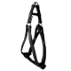 ARNES MAC LEATHER NEGRO 10mm x 25-40cm