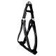 ARNES MAC LEATHER NEGRO 25mm x 60-100cm