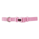 COLLAR BASIC ROSA 25mm x 48-70cm