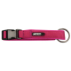 COLLAR NEOPRENO FUCSIA 15mm x 28-35cm