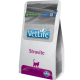 VETLIFE CAT STRUVITE 2KG