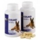 COLAID 90 CAPSULAS