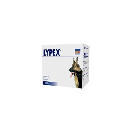 LYPEX 60 CAPSULAS 