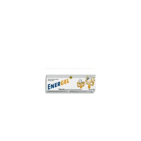 ENERGEL 80G