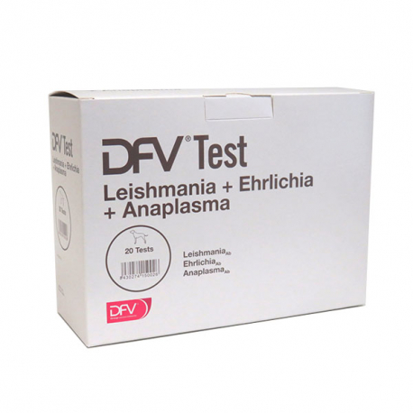 DFV TEST L+E+A 20 TEST