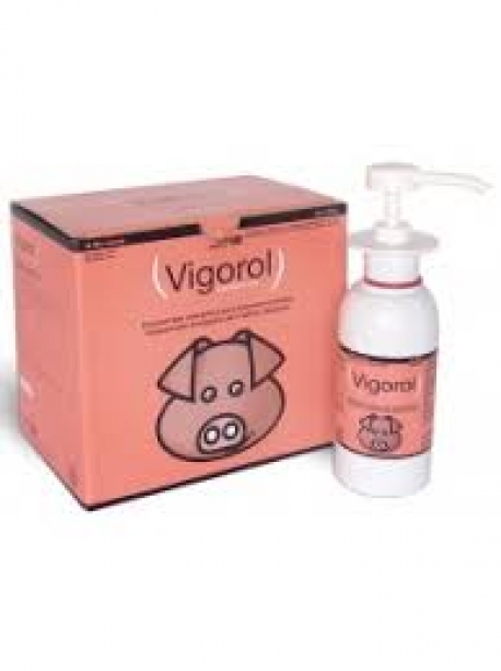 VIGOROL PLUS 6 BOTES DE 250ML