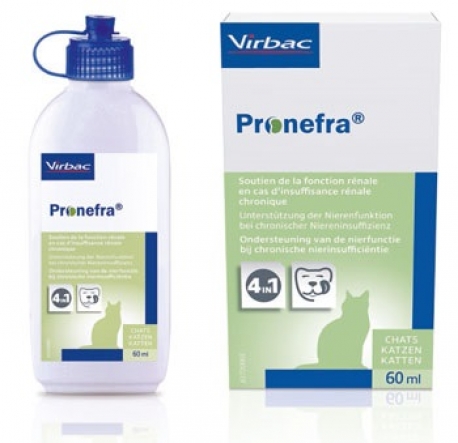 PRONEFRA 60 ML SUSP. ORAL PALATABLE