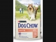 DOG CHOW SENSITIVE SALMON 2,5 KG