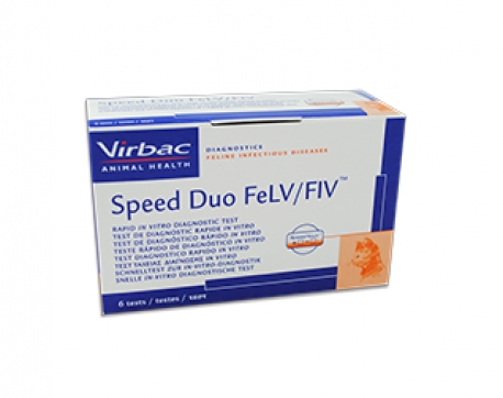 SPEED DUO FELV-FIV 6 TESTS