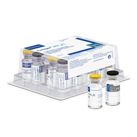 <p>Referencia del laboratorio:9203929</p>