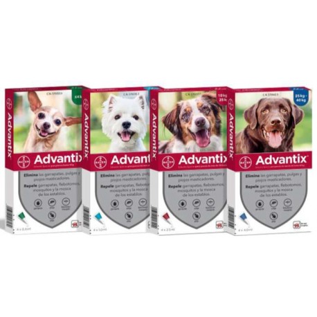 ADVANTIX SPOT ON PERRO 4KG-10KG PIP 4X1ML