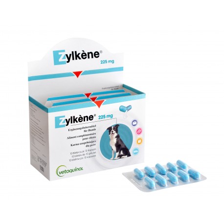 ZYLKENE 225 MG EC (100 COMPRIMIDOS)