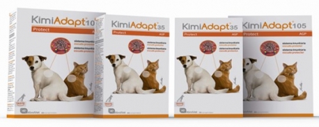 KIMIADAPT 105 60 COMPRIMIDOS