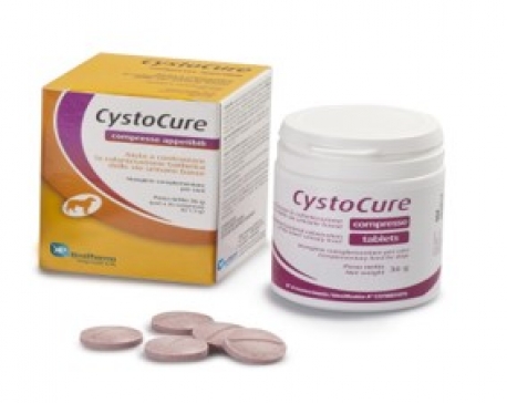 CYSTOCURE FORTE 30 COMP