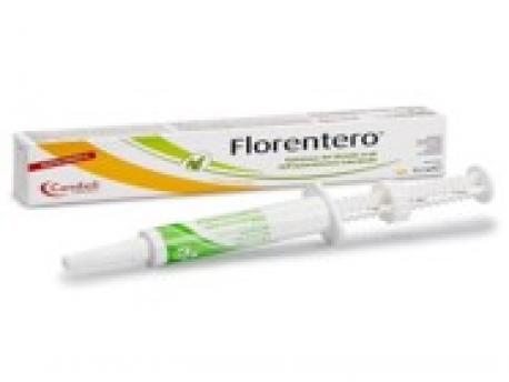 FLORENTERO ACT PASTA 15 ML