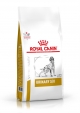 PRODEN PLAQUEOFF POLVO 40G GATO 