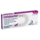 JERINGA INJEKT 2 CUERPOS 5ML LUER 100UD