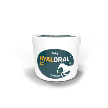 HYALORAL EQUINO 840 G