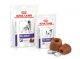 PIGLET PROTECTOR 5 x 80 ML