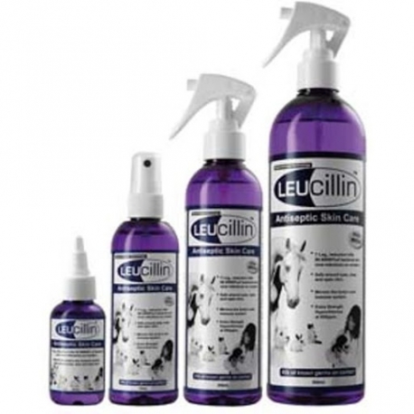 LEUCILLIN LIQUIDO SPRAY 250 ML 