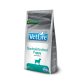 VETLIFE PUPPY GASTROINTESTINAL 2KG