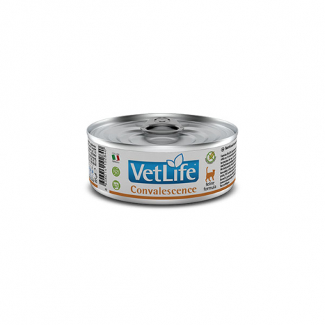 VETLIFE CAT CONVALESCENCE 12X85G