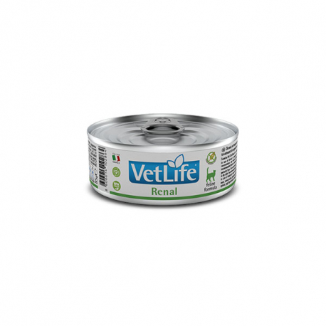 VETLIFE CAT RENAL 12X85G