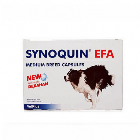 SYNOQUIN RAZA MEDIANAS 120 CAPSULAS