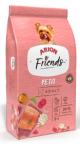 ARION FRIENDS PERRO PETIT 9 KG