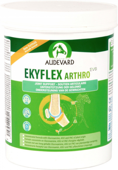 EKYFLEX ARTHRO EVO 450G