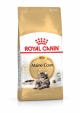 FELINE MAINE COON 4KG