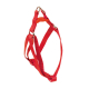 XXX ARNES BASIC ROJO 20MM X 35-50CM 1UD