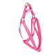 XXX ARNES BASIC FUCSIA 20MM X 35-50CM 1UD