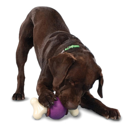 BUSY BUDDY BOUNCY BONE SM
