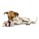 BUSY BUDDY BRISTLE BONE MED