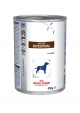 CANINE GASTRO INTESTINAL 12X400G