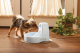 BEBEDERO AUTOMATICO DRINKWELL ORIGINAL 1,5L.