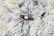 CUNA DONUT RELAX CON TUNEL 80x80x25cm