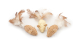 PACK CATKINS (3pcs.)