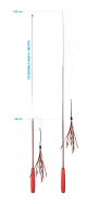 CAÑA EXTENSIBLE ERGONOMICA FISHER CAT 100cm (U.M.V 3uds)