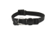 COLLAR GATO BASIC NEGRO 10mm x 22-33cm (UMV 3uds.)