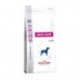 CANINE SKIN CARE 11 KG