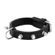 COLLAR THOR 50CM X 15MM NEGRO