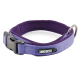 COLLAR NEOPRENO LILA 15mm x 28-35cm