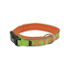 COLLAR X-TRM NEON FLASH VERDE 20mm x 35-45cm