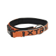 COLLAR X-TRM NEON FLASH NARANJA 38mm x 65-75cm