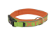 COLLAR X-TRM NEON FLASH VERDE 38mm x 65-75cm